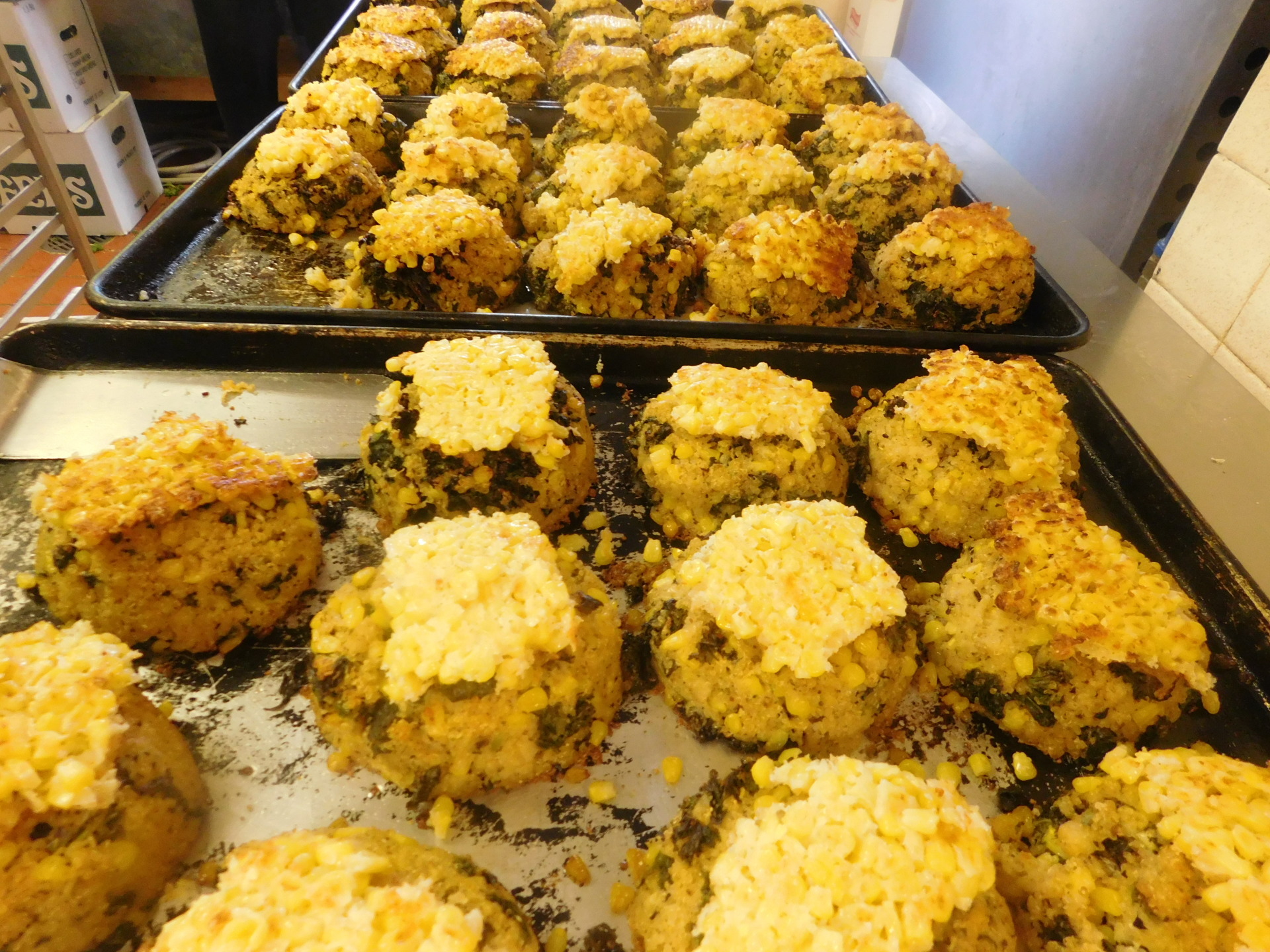 Quinoa, Kale, Brussel Sprouts Cakes